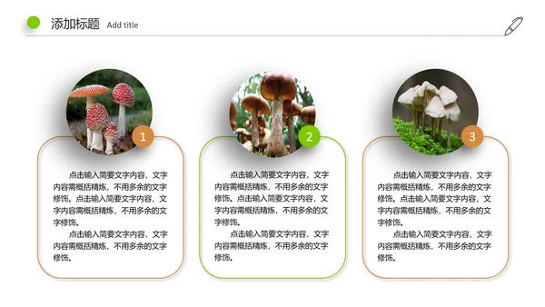 高清野生菌类动态PPT模板