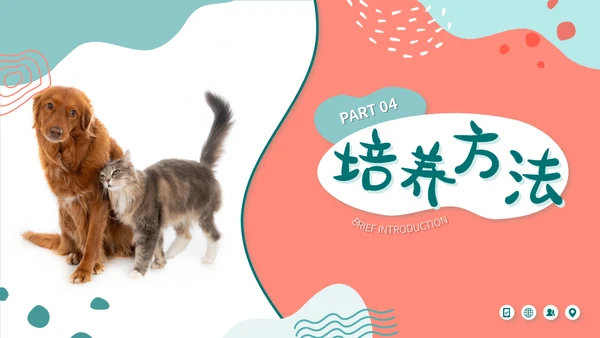 宠物店猫狗饲养心得经验分享通用PPT模板