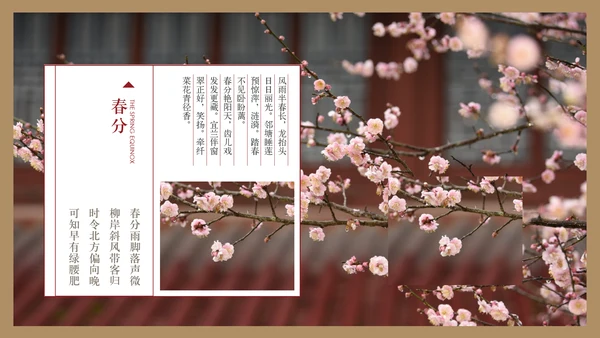 最美故宫中国风画册PPT