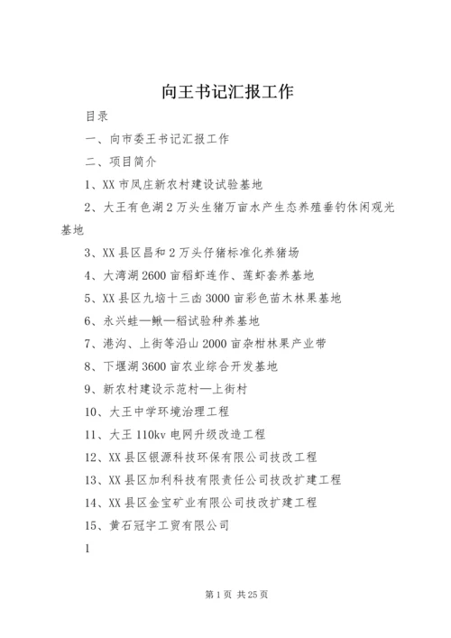 向王书记汇报工作.docx