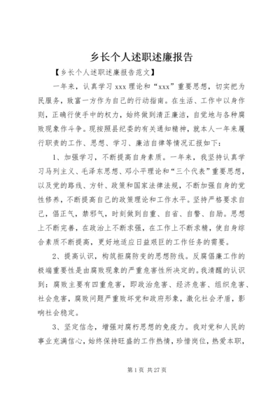 乡长个人述职述廉报告.docx