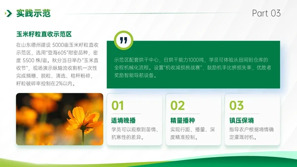 绿色商务风秋分农事农业培训活动PPT模板