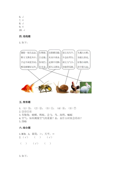 教科版一年级下册科学期末测试卷【研优卷】.docx