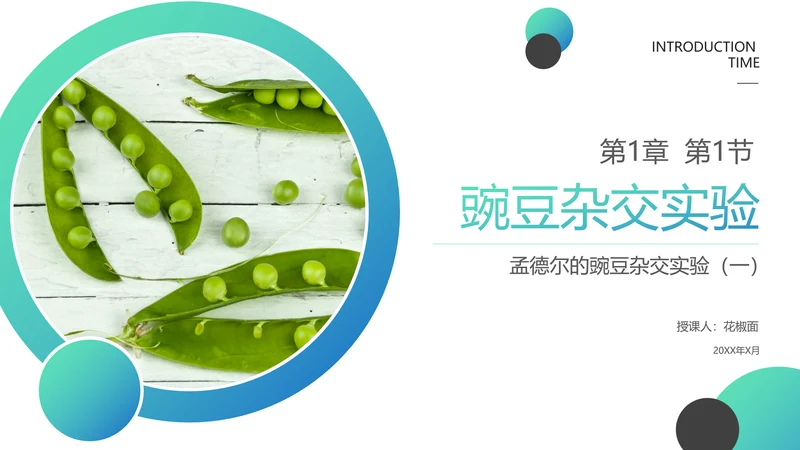 高中生物豌豆杂交实验PPT课件