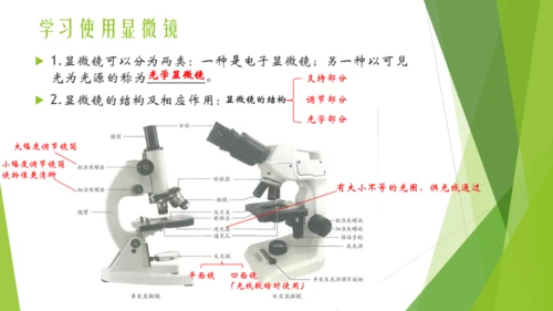 人教版七年级生物上册第一章认识生物第二章认识细胞复习课件(共23张PPT)