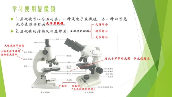 人教版七年级生物上册第一章认识生物第二章认识细胞复习课件(共23张PPT)