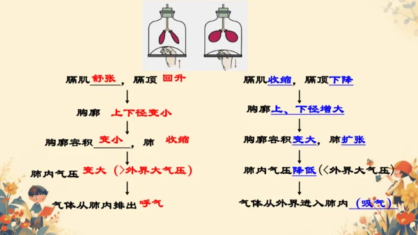 人教版（新课程标准）七年级下册4.3.2 发生在肺内的气体交换课件(共20张PPT)