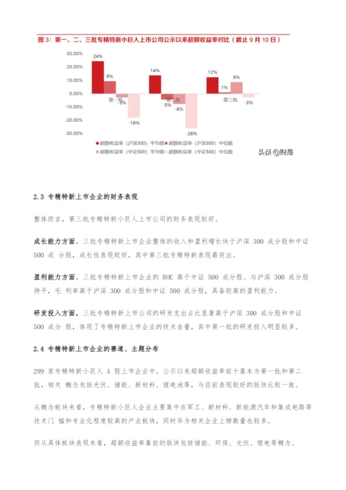 投资策略专题报告-从主题投资角度思考专精特新.docx