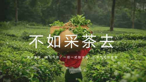 绿茶中国风茶道茶文化绿茶茶味通用PPT模板