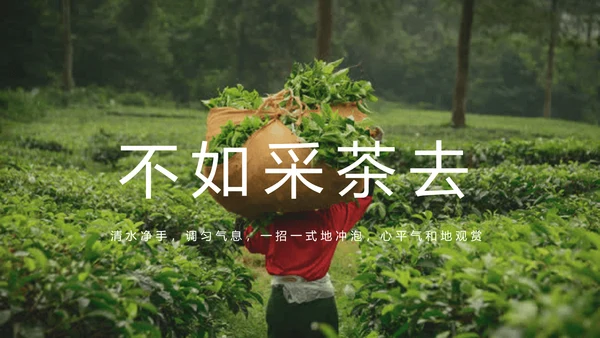 绿茶中国风茶道茶文化绿茶茶味通用PPT模板