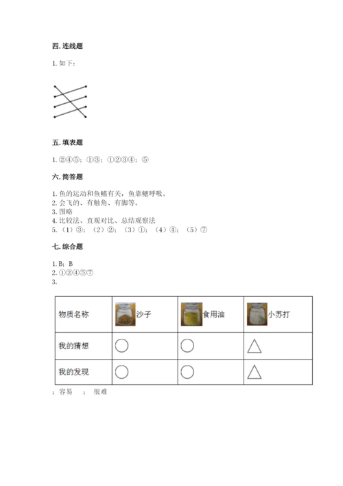 教科版一年级下册科学期末测试卷【考点梳理】.docx