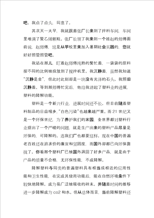 暑期实践报告例文