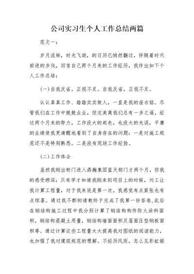 公司实习生个人工作总结 两篇