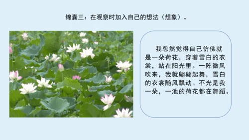 部编版三年级语文上册 第五单元习作例文：我家的小狗  课件