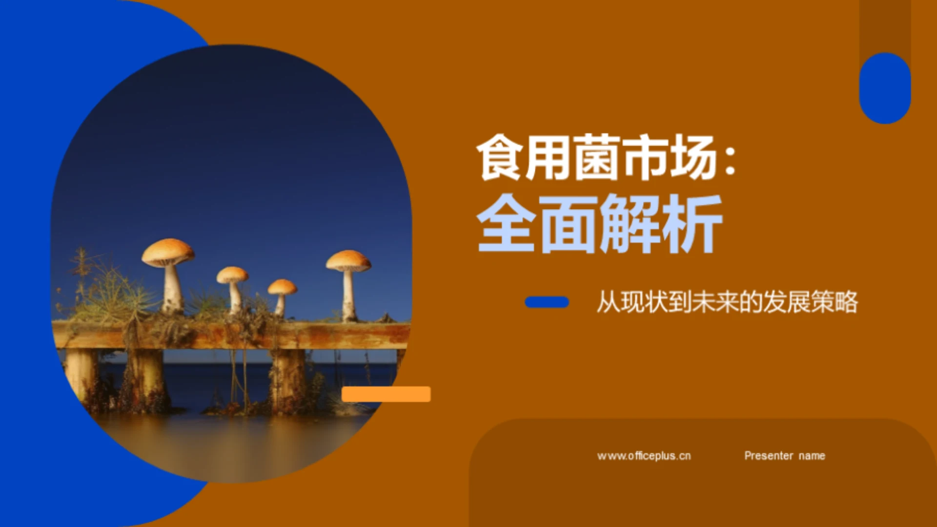 食用菌市场:全面解析