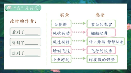 【核心素养】部编版语文三年级下册-3. 荷花 第2课时（课件）