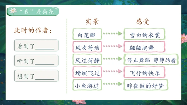 【核心素养】部编版语文三年级下册-3. 荷花 第2课时（课件）