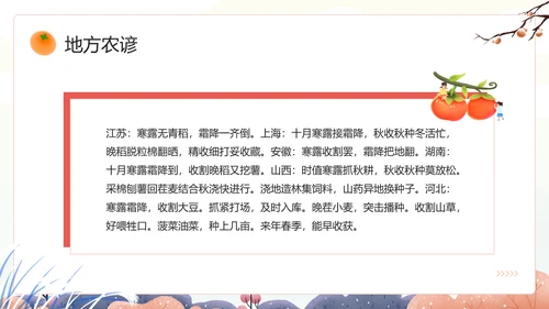 中国风传统二十四节气之霜降PPT课件模板
