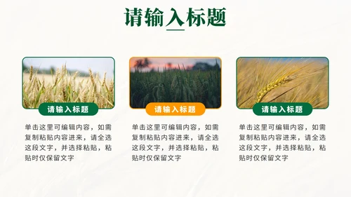 绿色简约实景全民推进乡村振兴PPT模板