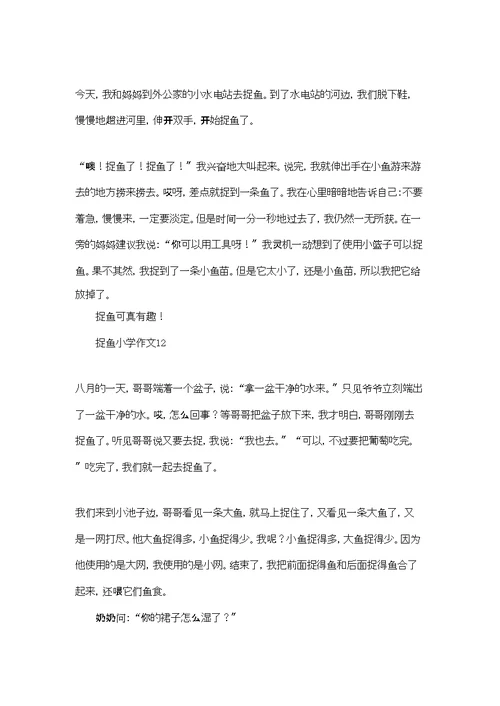 捉鱼小学作文精选15篇