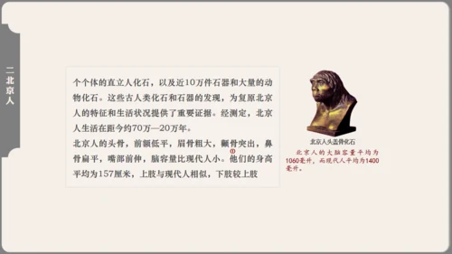 中学历史课人类起源《北京人》通用PPT模板