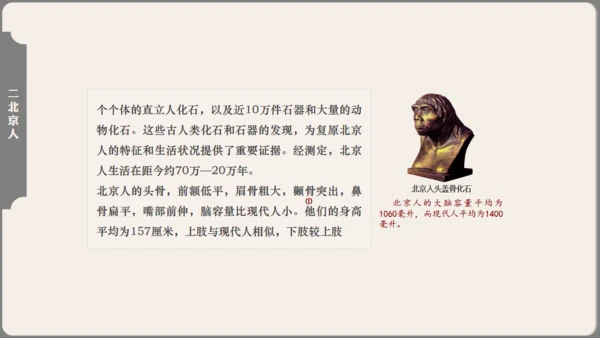 中学历史课人类起源《北京人》通用PPT模板