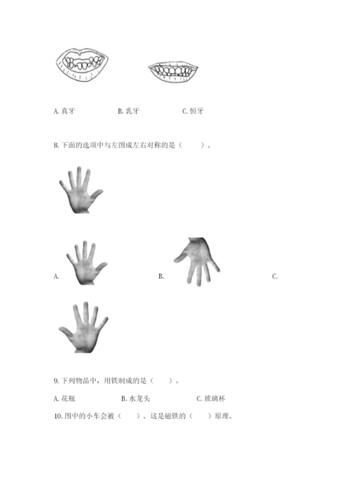 教科版小学科学二年级下册 期末测试卷有答案.docx