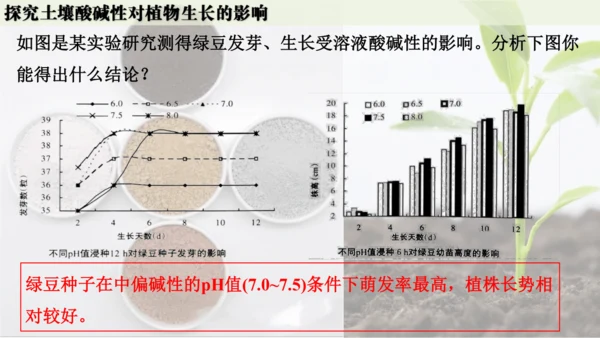 跨学科实践活动9  探究土壤酸碱性对植物生长的影响课件(共33张PPT)