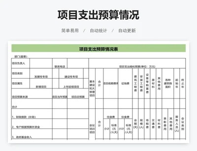 项目支出预算情况