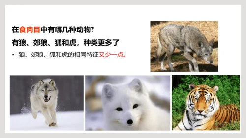 6.1.2+从种到界-【互动课堂】八年级生物上册精品课件（人教版）(共20张PPT)