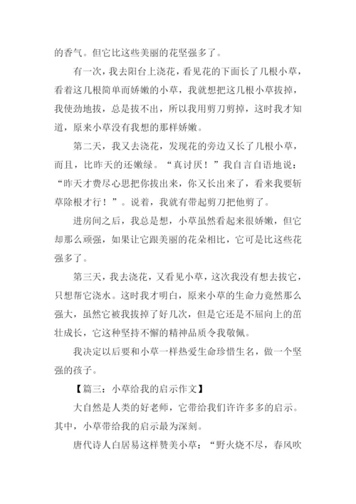 小草给我的启示作文.docx