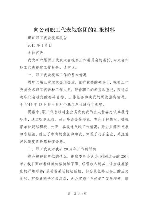 向公司职工代表视察团的汇报材料 (5).docx