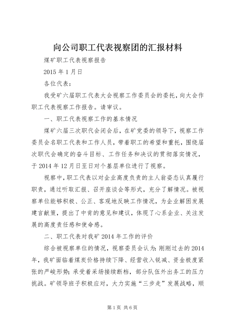 向公司职工代表视察团的汇报材料 (5).docx