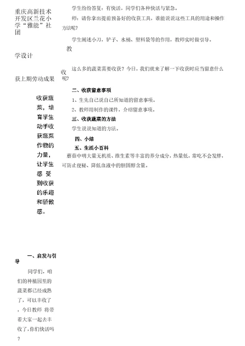 蔬菜种植社团教案与计划