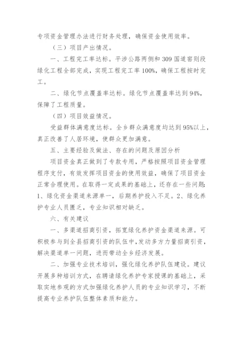 项目绩效评价报告.docx