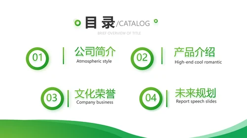 绿色简约医疗医药公司简介总结PPT