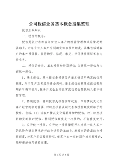 公司授信业务基本概念搜集整理 (4).docx