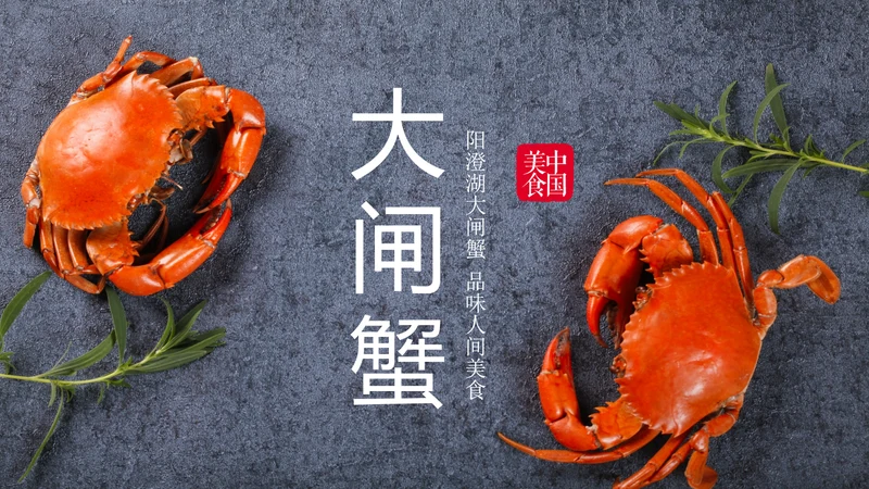 阳澄湖大闸蟹美食文化美食中国PPT模板