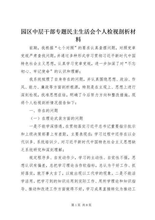 园区中层干部专题民主生活会个人检视剖析材料 (2).docx