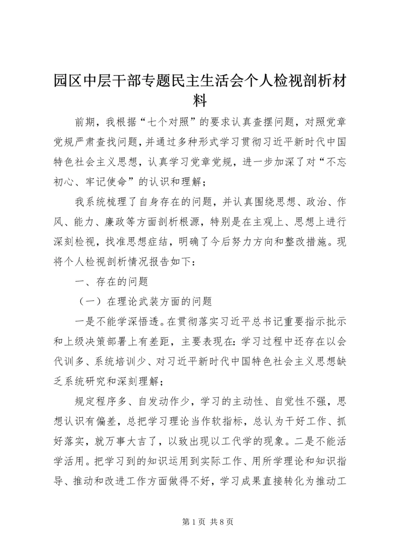 园区中层干部专题民主生活会个人检视剖析材料 (2).docx