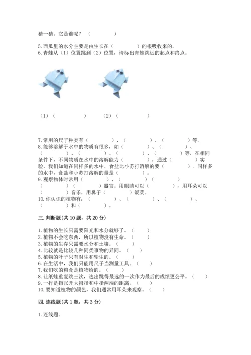 教科版一年级上册科学期末测试卷及完整答案【夺冠系列】.docx