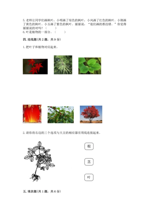 教科版科学一年级上册第一单元《植物》测试卷（综合题）word版.docx