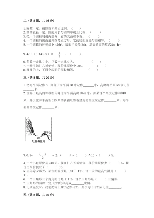 河南省平顶山市六年级下册数学期末考试试卷（轻巧夺冠）.docx