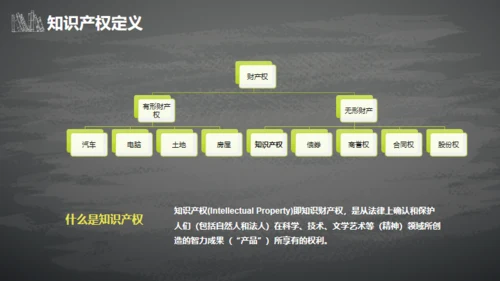 IPR知识产权介绍通用PPT模板