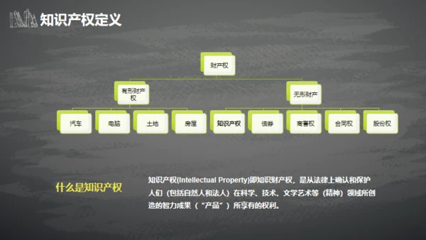 IPR知识产权介绍通用PPT模板