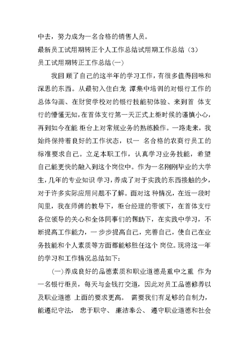 试用期工作总结4篇