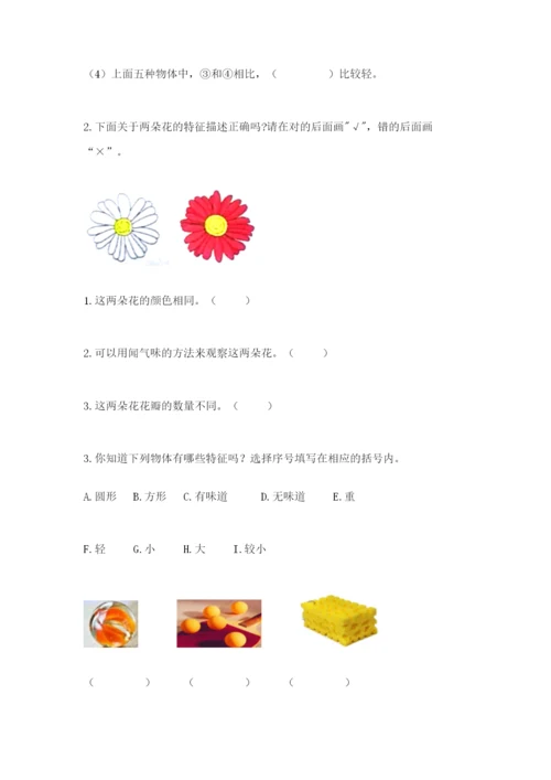 教科版一年级下册科学期末测试卷（满分必刷）.docx