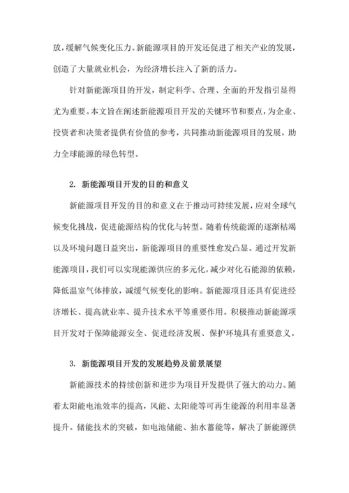 新能源项目开发指引.docx