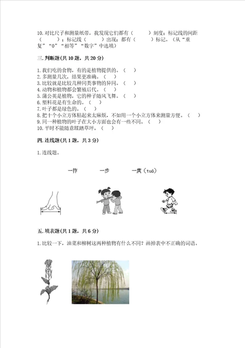 教科版科学一年级上册期末测试卷附答案培优a卷