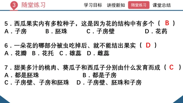 3.2.3  开花和结果  课件-2023-2024学年人教版生物七年级上册(共27张PPT)